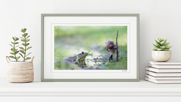 The photo of a frog and becorn looking at each other in a thin, sage green frame on a white shelf against a white wall. On either side of it are potted plants and a small stack of books. In the lower right corner of the print’s white border is David Bird’s signature.