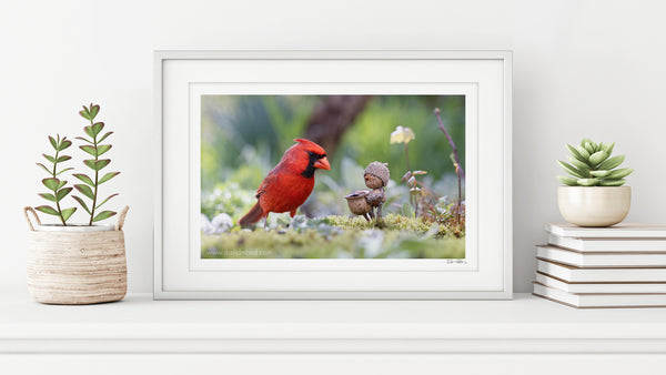 The photo of a Becorn and a cardinal in a thin, white frame on a white shelf against a white wall. On either side of it are potted plants and a small stack of books. In the lower right corner of the print’s white border is David Bird’s signature.