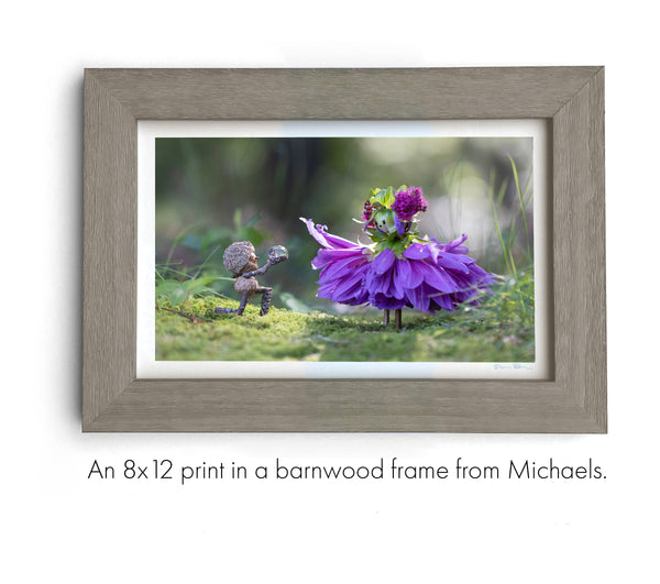 The photo of the Becorn and flower person in a gray wood frame. In the lower right corner of the print’s white border is David Bird’s signature. Text: An 8x12 print in a barnwood frame from Michaels.