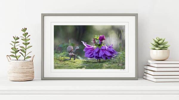 The photo of the Becorn and flower person in a thin, gray frame on a white shelf against a white wall. On either side of it are potted plants and a small stack of books. In the lower right corner of the print’s white border is David Bird’s signature.