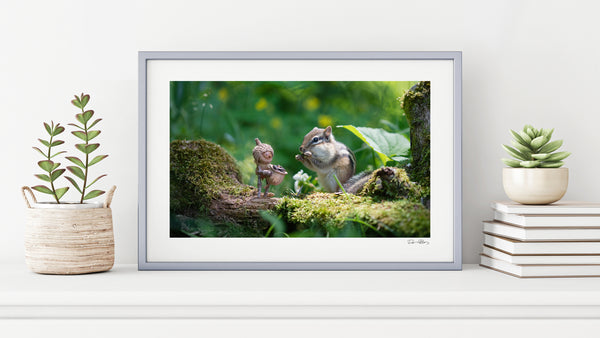 The photo of the Becorn and chipmunk in a thin, gray frame on a white shelf against a white wall. On either side of it are potted plants and a small stack of books. In the lower right corner of the print’s white border is David Bird’s signature.