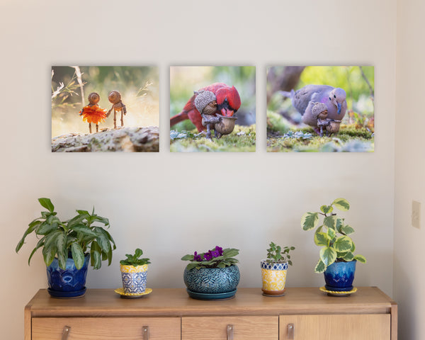 The photos “The Dress” of two Becorns holding hands, “Cardinal Sug” of a male cardinal eating seeds out of a Becorn’s basket, and “Mourning Dove” of a mourning dove eating seeds out of a Becorn’s basket, as metal prints mounted without frames on a pale gray wall. In the lower right corner of the prints, David Bird’s signature is visible. Underneath them is a sideboard with several potted plants.