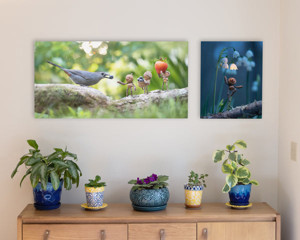 The photos “Grey Catbird” of three Becorns and a grey catbird and “Glowdrop” of a Becorn underneath glowing snowbells, as metal prints mounted without frames on a pale gray wall. In the lower right corner of the prints, David Bird’s signature is visible. Underneath them is a sideboard with several potted plants.