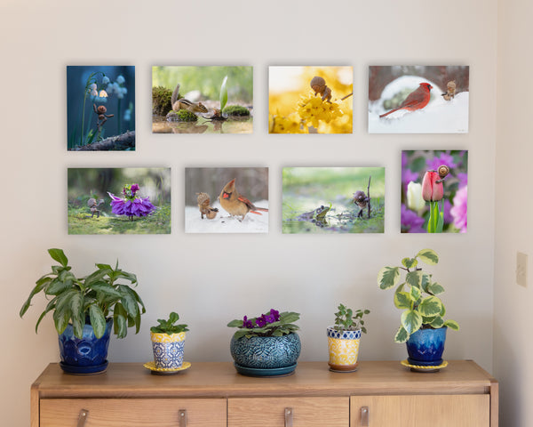 Eight metal prints mounted without frames in two rows on a pale gray wall. In the first row are “Glowdrop”, “Welcoming Party?”, “Forsythia”, and “Cardinal”. In the second row are “The Offering”, “Winter Female Cardinal”, “Frog”, and “Tulip”. In the lower right corner of the prints, David Bird’s signature is visible. Underneath them is a sideboard with several potted plants.