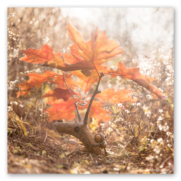 A Becorn hugging a stick that is protruding from the ground. The stick resembles an animal’s long neck and snout, and has antlers made of orange oak leaves. The two are surrounded by white wood asters that have gone to seed.