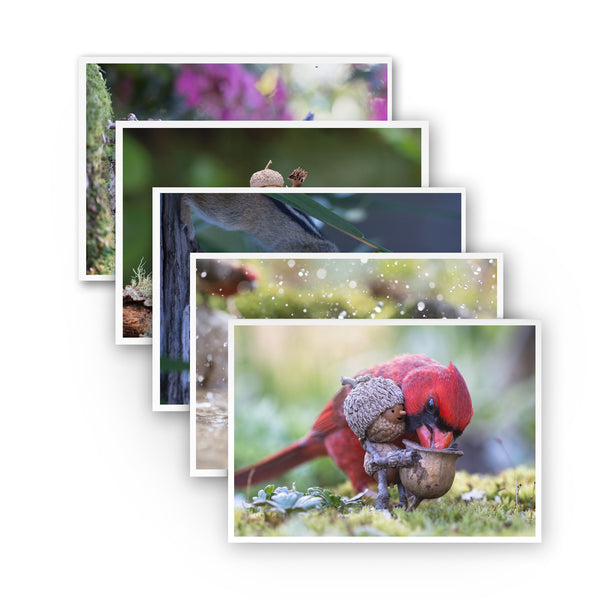 Buddies ~ Pack of Five Note Cards