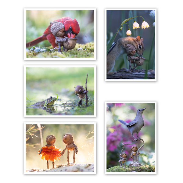 Five photos on a white background. First: a male cardinal reaches over a Becorn’s shoulder to pick a seed out of the Becorn’s basket. Second: a Becorn and a bullfrog stare at one another. Third: two Becorns smile and hold hands. One of the Becorns wears an orange mum flower dress. Fourth: a chipmunk leans over a Becorn holding a basket of seeds. Three snowbell flowers above them glow warm white. Fifth: two Becorns holding stick staffs. A grey catbird is perched on one staff.