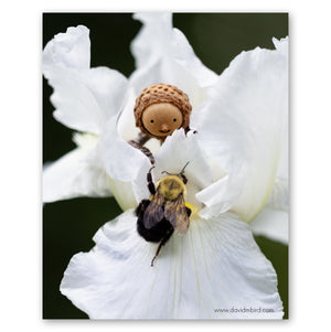 A Becorn peeks out from the inside of a white iris as a bumblebee climbs up the petal. The two face each other, each reaching out, about to touch.