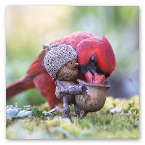 A male cardinal reaching over a Becorn’s shoulder to pick a seed out of the Becorn’s basket. The Becorn is smiling.