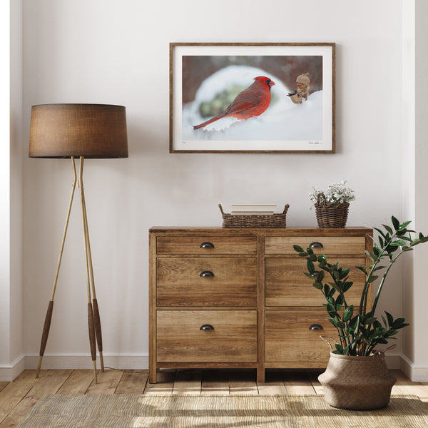 The photo of the Becorn and male cardinal in the snow in a thin, brown frame mounted in a white room. In the lower right corner of the print’s white border is David Bird’s signature. In the room is a small wooden dresser, a potted plant, and a brown lamp.