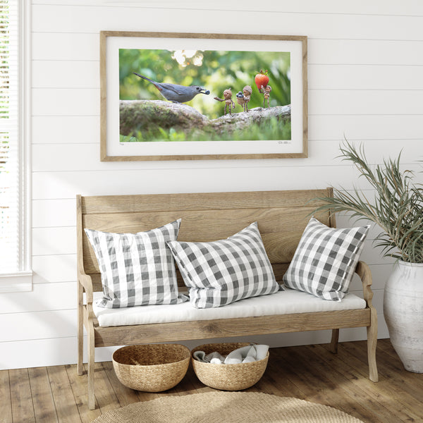 The photo of three Becorns and a grey catbird in a light wooden frame hanging on a white shiplap wall. In the lower right corner of the print’s white border is David Bird’s signature. Underneath it is a light wooden couch with gray check pillows and a potted plant.