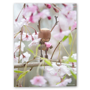 A Becorn with a large helmet and antlers standing on a branch of a weeping cherry tree, holding one of the flowers and looking at it happily. He is surrounded by pale pink cherry blossoms.