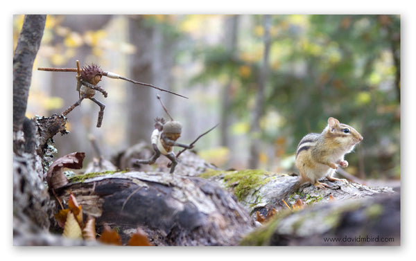 Two Becorns with sharp stick spears are chasing a sitting chipmunk. One of the Becorns is jumping off a log and is poised to throw his spear.