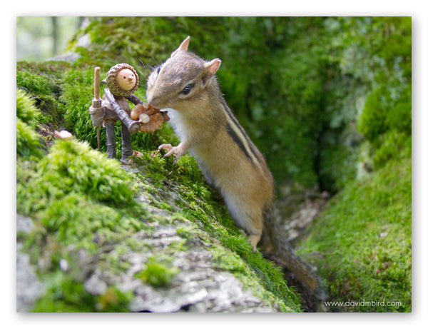 A chipmunk nibbling on a walnut held out by a Becorn. They are surrounded by mossy tree roots.