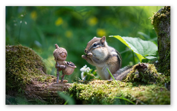 A Becorn holding a basket of sunflower seeds is standing on a mossy log next to a chipmunk that is eating a seed. 