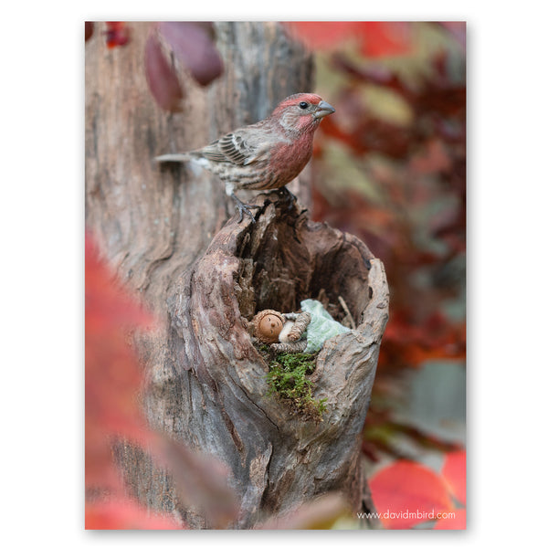 A Becorn sleeping in a hollow knot inside a tree, using a pale green leaf as a blanket. A house finch is perched on the top edge of the hollow. They are framed by red leaves.