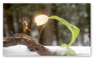 A Becorn with thin horns is standing on a log in the snow and looking in wonder at a white tulip that is bent over towards it, the flower of which is glowing a warm white. It is snowing.