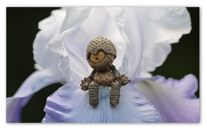 A Becorn sits in a white and purple iris. It's eyes are closed, as if meditating