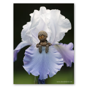 A Becorn sits on the petal of a purple and white iris. His eyes are closed as if he is meditating, and he has a soft smile. 