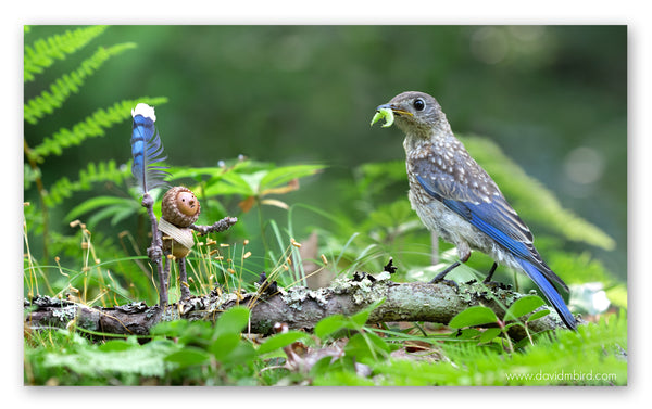 A Becorn holding a stick with a bluejay feather at the end is holding out an empty hand and frowning at a juvenile bluebird that has a green inchworm in its beak.