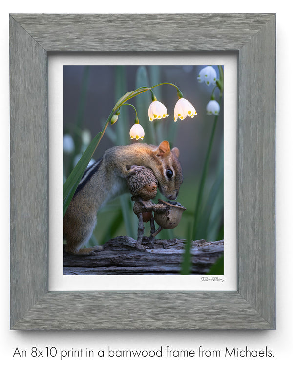 The photo of the Becorn and chipmunk underneath snowbells in a gray wood frame. In the lower right corner of the print’s white border is David Bird’s signature. Text: An 8x10 print in a barnwood frame from Michaels.