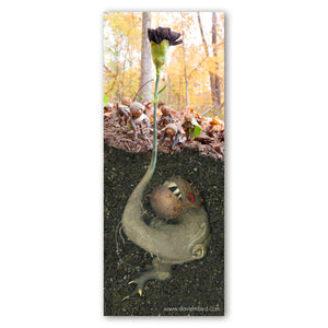 Five Becorns investigating a black carnation that sprouts from the ground. The soil is seen in cross-section to show that the flower is the tail of a curled monstrous creature with a red eye and large teeth buried underground.