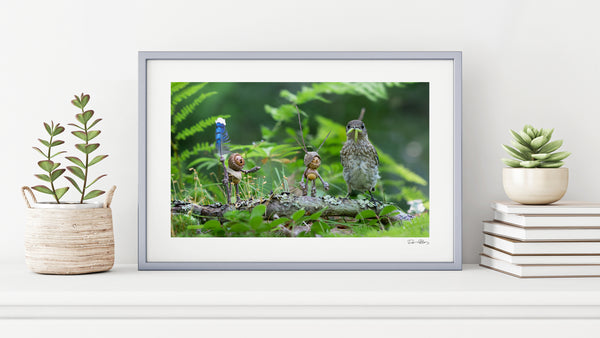 The photo of two Becorns and a juvenile bluebird in a thin, pale gray frame on a white shelf against a white wall. On either side of it are potted plants and a small stack of books. In the lower right corner of the print’s white border is David Bird’s signature.