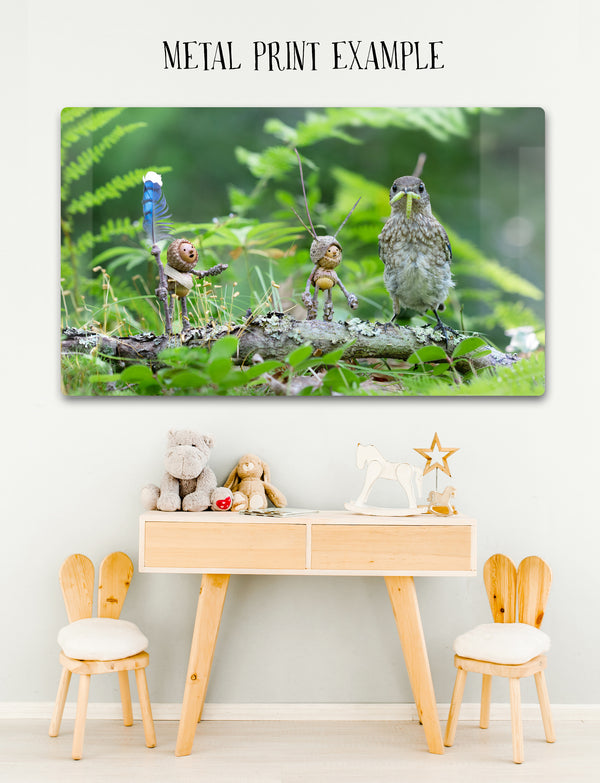 The photo of two Becorns and a juvenile bluebird as a metal print mounted without a frame on an off-white wall. The metal print faintly reflects an unseen plain wall. Underneath it is a wooden table with several toys on top and two small matching chairs. Text: Metal Print Example