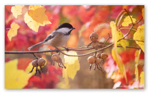 A Becorn and a black-capped chickadee are sitting on a thin branch. The Becorn is smiling at the chickadee. Four smaller Becorns are hanging off of the branch, asleep. They are surrounded by yellow and red leaves.