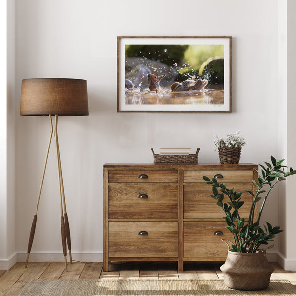 The photo of the Becorn and sparrow bathing in a thin, brown frame mounted in a white room. In the lower right corner of the print’s white border is David Bird’s signature. In the room is a small wooden dresser, a potted plant, and a brown lamp.