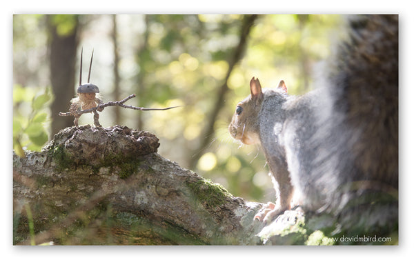 A Becorn with a spiked helmet and sharp stick spear faces off against a gray squirrel. The Becorn holds its spear as if ready to defend itself.