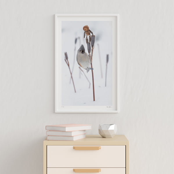 The photo of a Becorn and tufted titmouse in the snow in a thin, white frame hanging on an off-white wall. In the lower right corner of the print’s white border is David Bird’s signature. Underneath it is a small table with an accent bowl and a small stack of books.