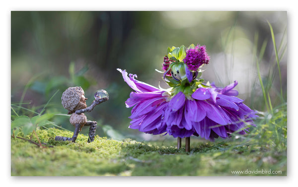 A Becorn is on one knee offering a globe of water to a flower person whose body is a purple dahlia and head is a green dahlia bud with leaves pointing upwards that resemble a crown. The flower person is smiling.