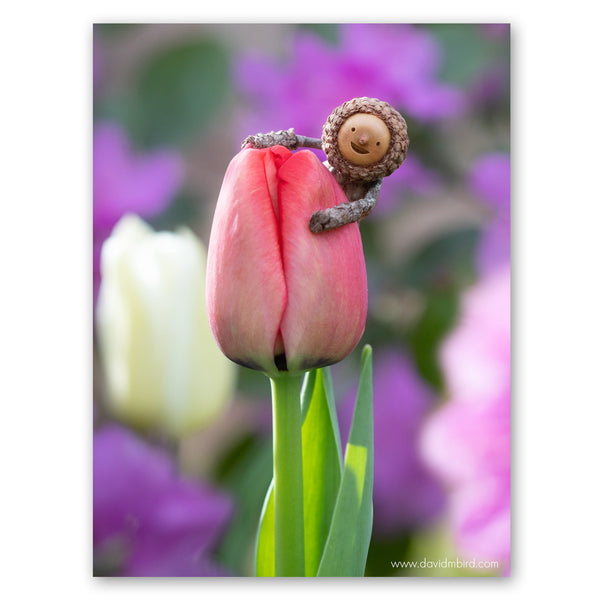 A Becorn smiling and holding onto a pale red tulip that isn’t fully opened. There are purple and white flowers in the background.