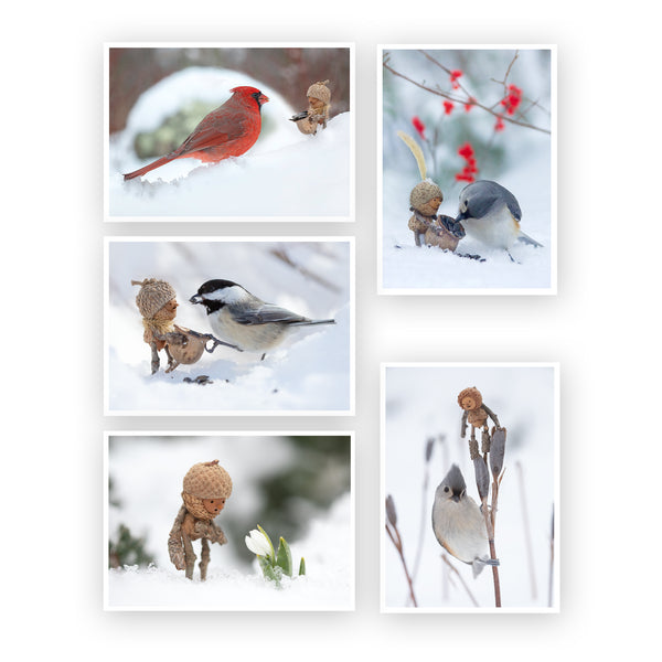 Five photos on a white background. In all of the photos the ground is covered in snow. First: a Becorn holding a basket of seeds and a male cardinal looking at one another. Second: a Becorn holding a basket of seeds and a black-capped chickadee Third: a becorn looking in wonder at a snowdrop flower emerging from the snow. Fourth: a Becorn holding a basket of seeds and a tufted titmouse. There are a few bright red berries in the background. Fifth: Becorn and a tufted titmouse perched on a dried iris stalk.