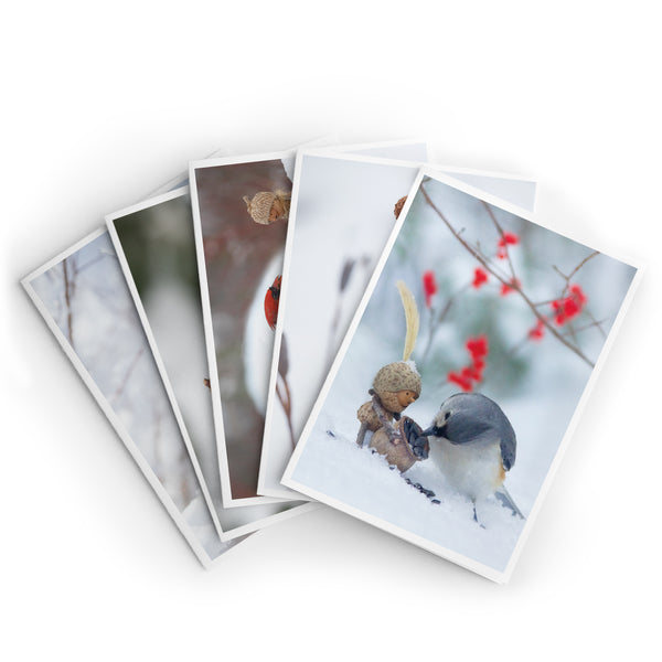 Five photos overlapped on a white background so that only the top photo is fully visible, which is a Becorn holding a basket of seeds looking in awe at a tufted titmouse that is picking a sunflower seed out of the basket. The ground is covered in snow, and there are a few bright red berries in the background.