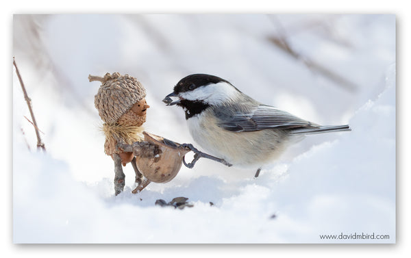 A Becorn holding a basket of seeds is smiling at a black-capped chickadee that has a sunflower seed in its beak. The chickadee is holding the basket with one foot. The ground is covered in snow.