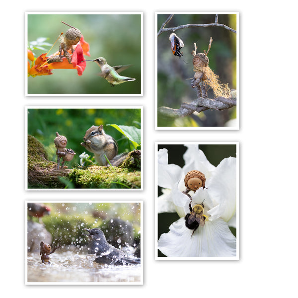 Wonder ~ Pack of Five Note Cards