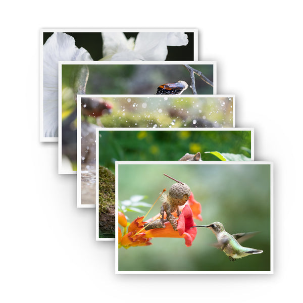 Wonder ~ Pack of Five Note Cards