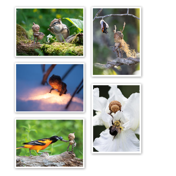 Wonder ~ Pack of Five Note Cards